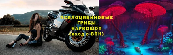 apvp Краснослободск