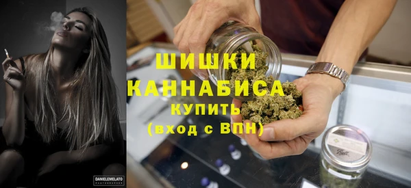 apvp Краснослободск