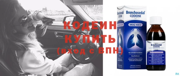 apvp Краснослободск