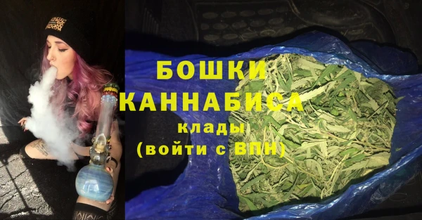 apvp Краснослободск