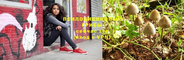 apvp Краснослободск