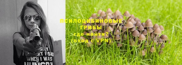 apvp Краснослободск
