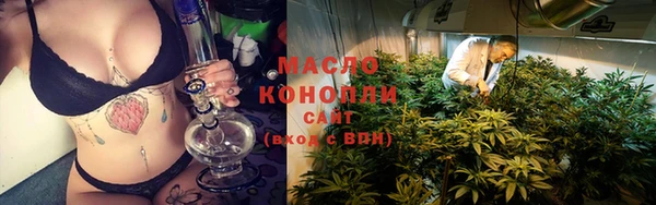 apvp Краснослободск
