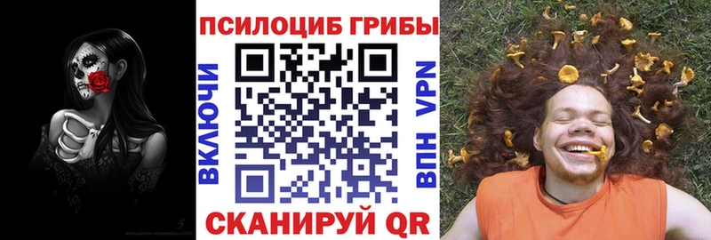 купить наркотик  Усинск  Псилоцибиновые грибы MAGIC MUSHROOMS 
