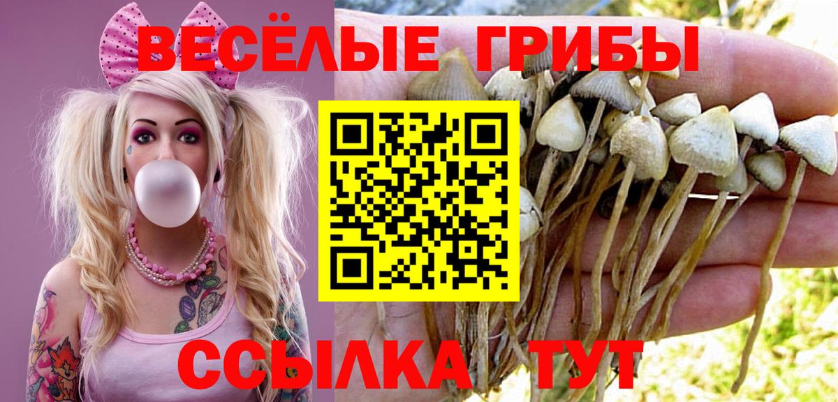 Псилоцибиновые грибы мицелий Усинск